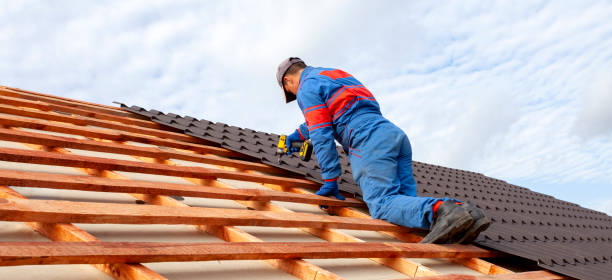 Best Green or Eco-Friendly Roofing Solutions  in Orida Ridge, FL