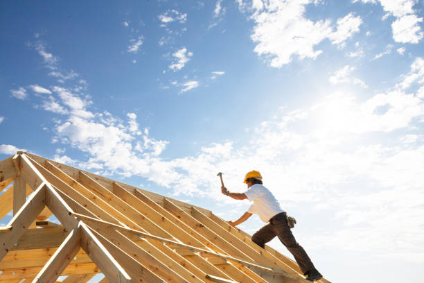 Best Asphalt Shingles Roofing  in Orida Ridge, FL
